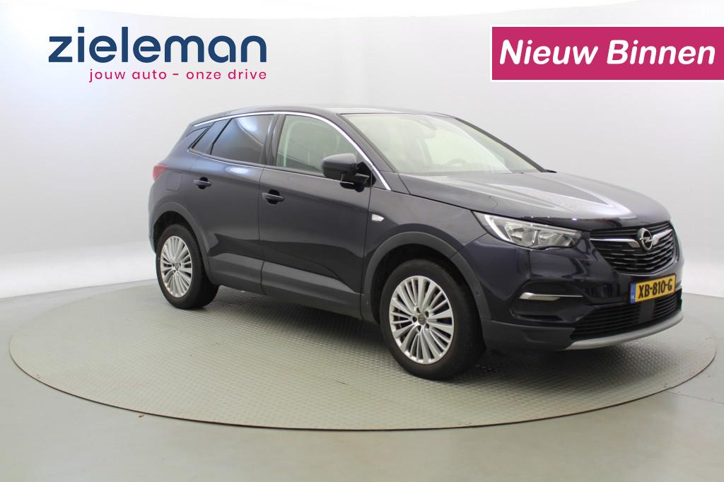 Foto van Opel Grandland X