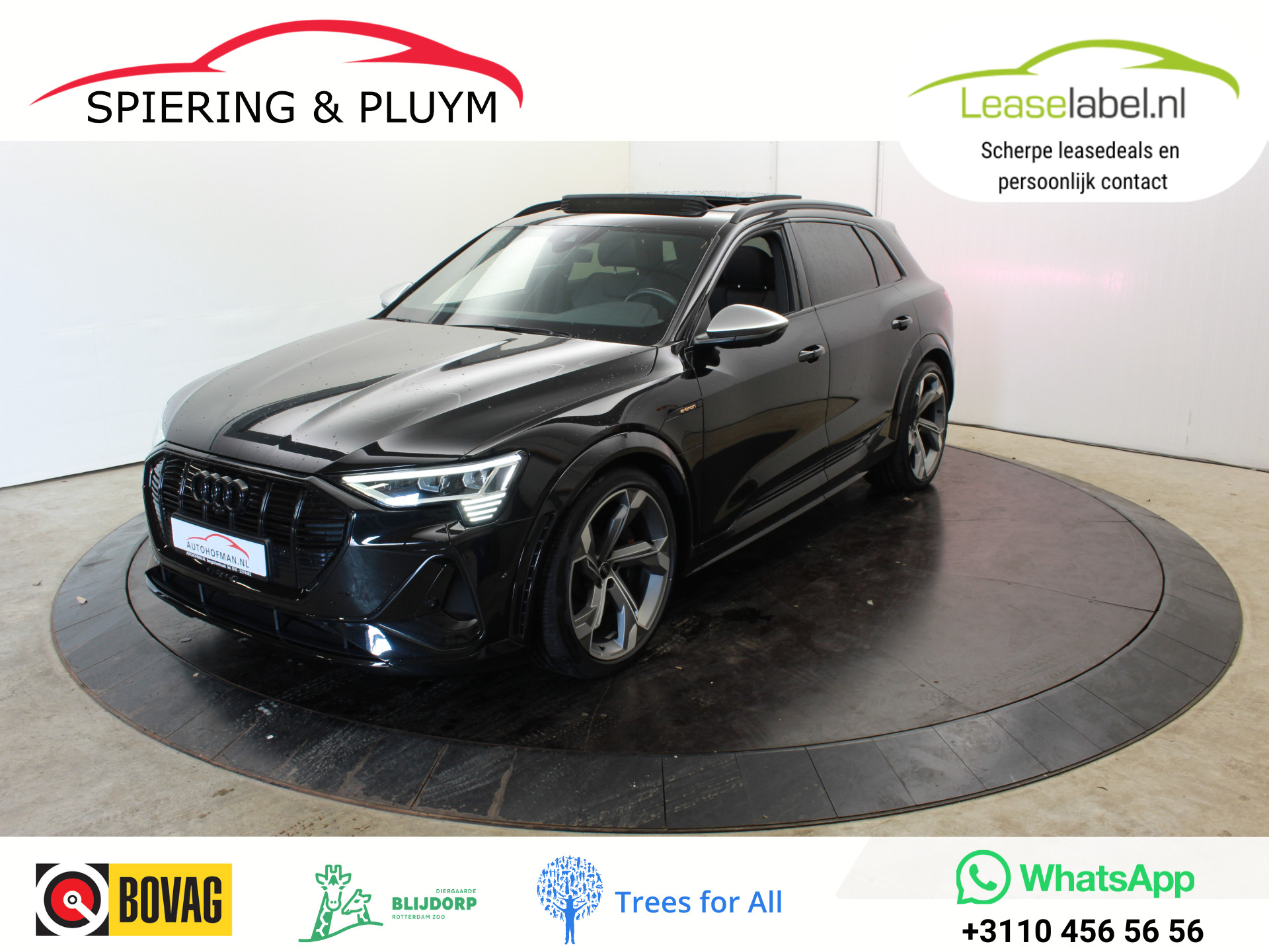 Foto van Audi e-tron