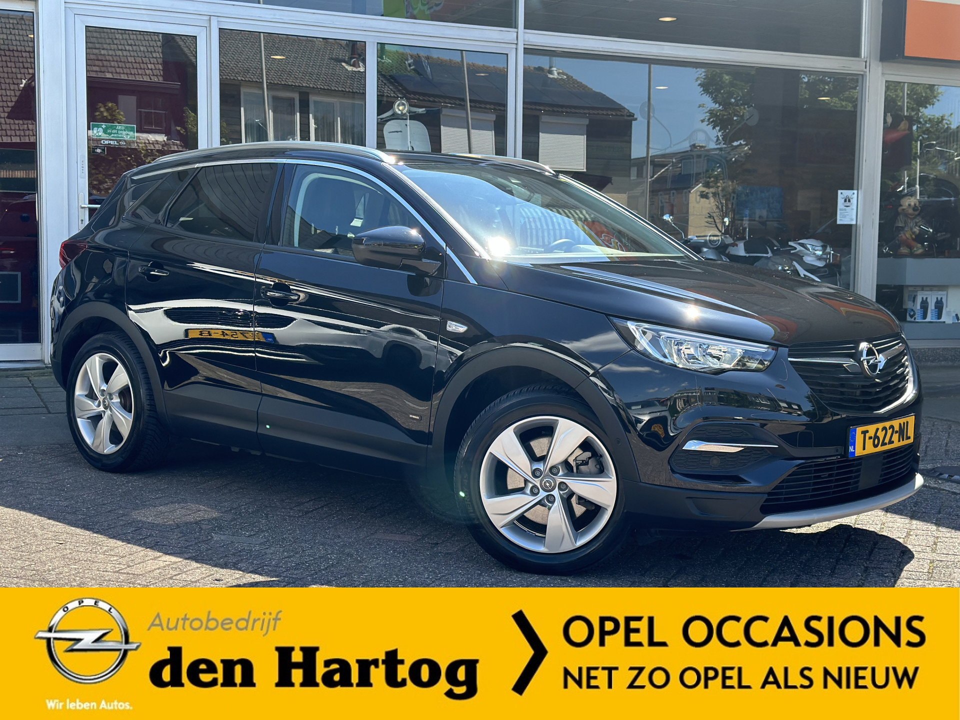 Foto van Opel Grandland X