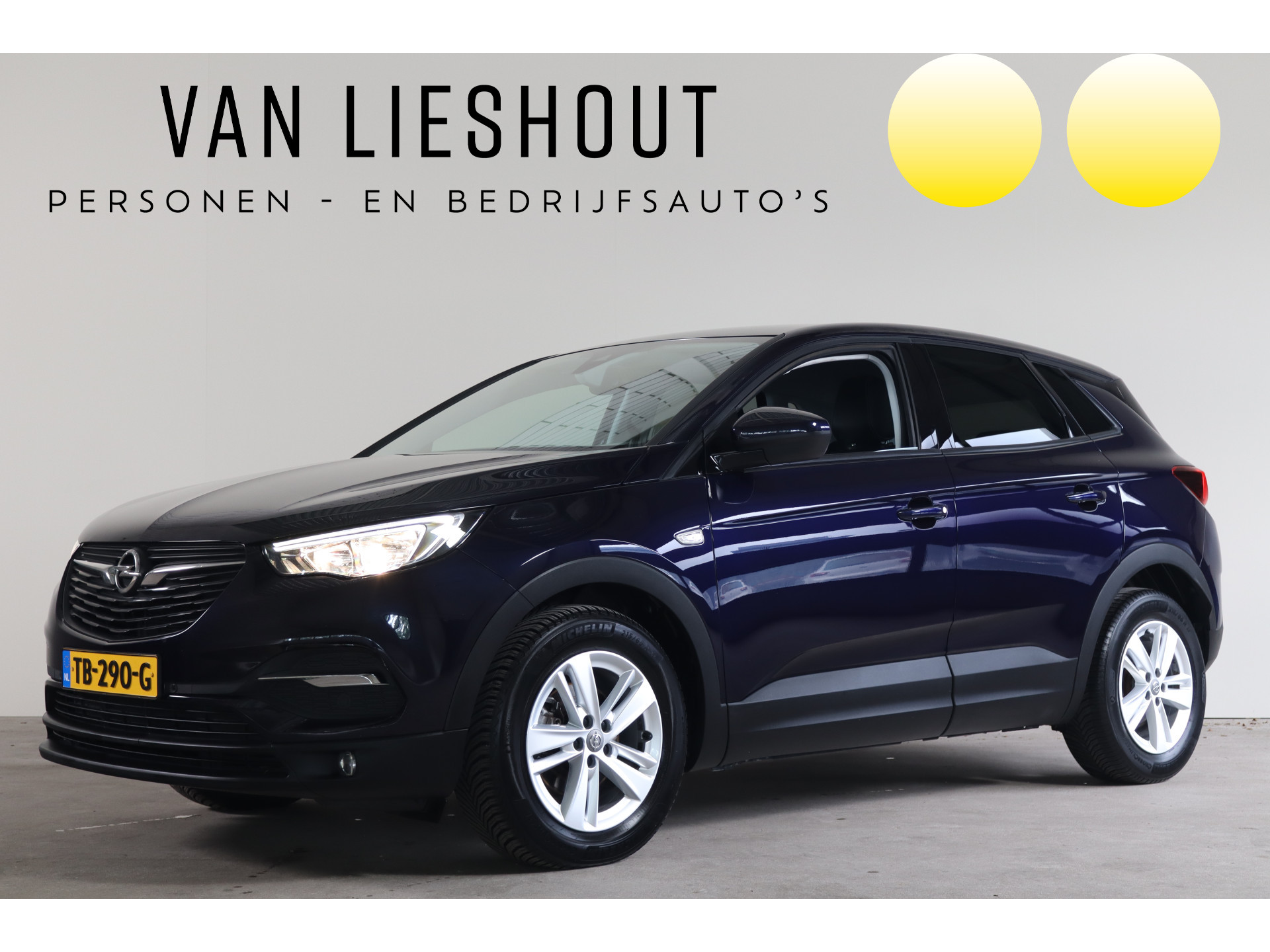Foto van Opel Grandland X