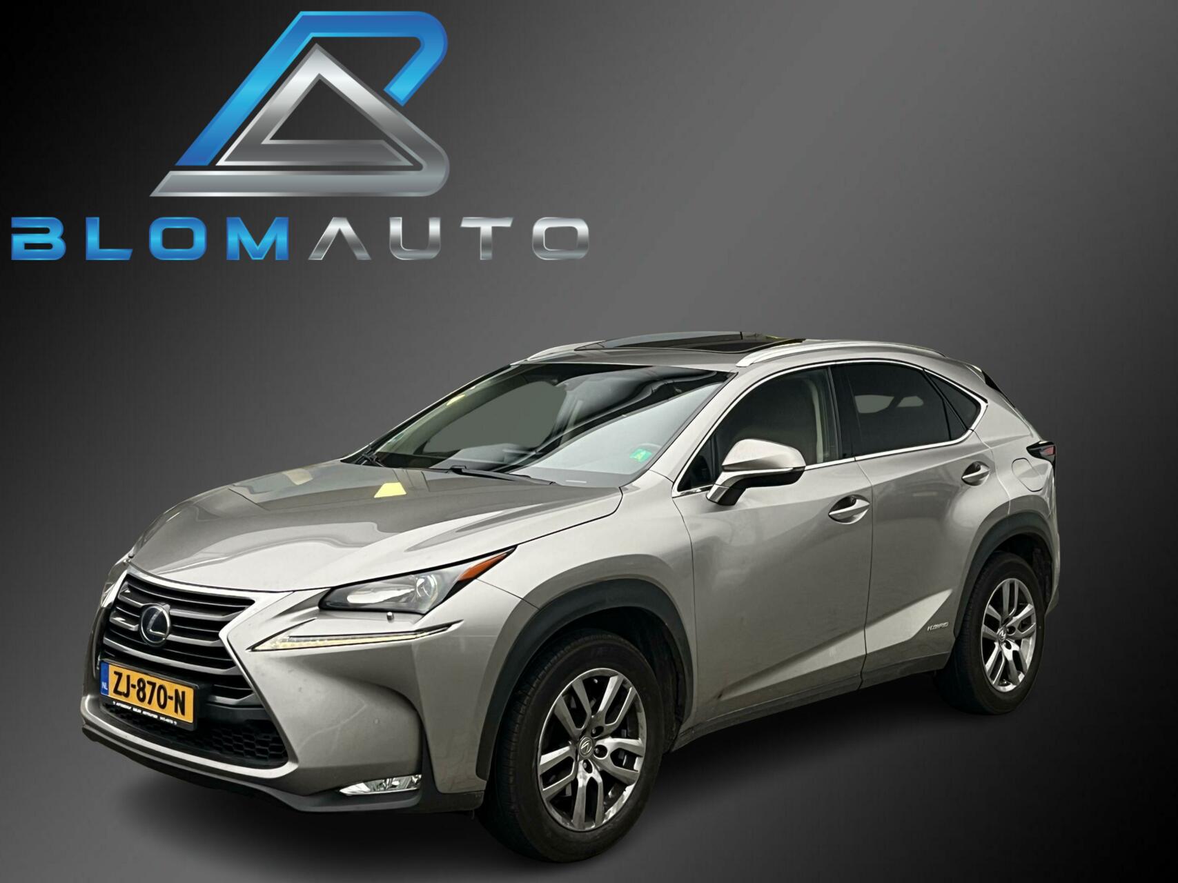 Foto van Lexus NX