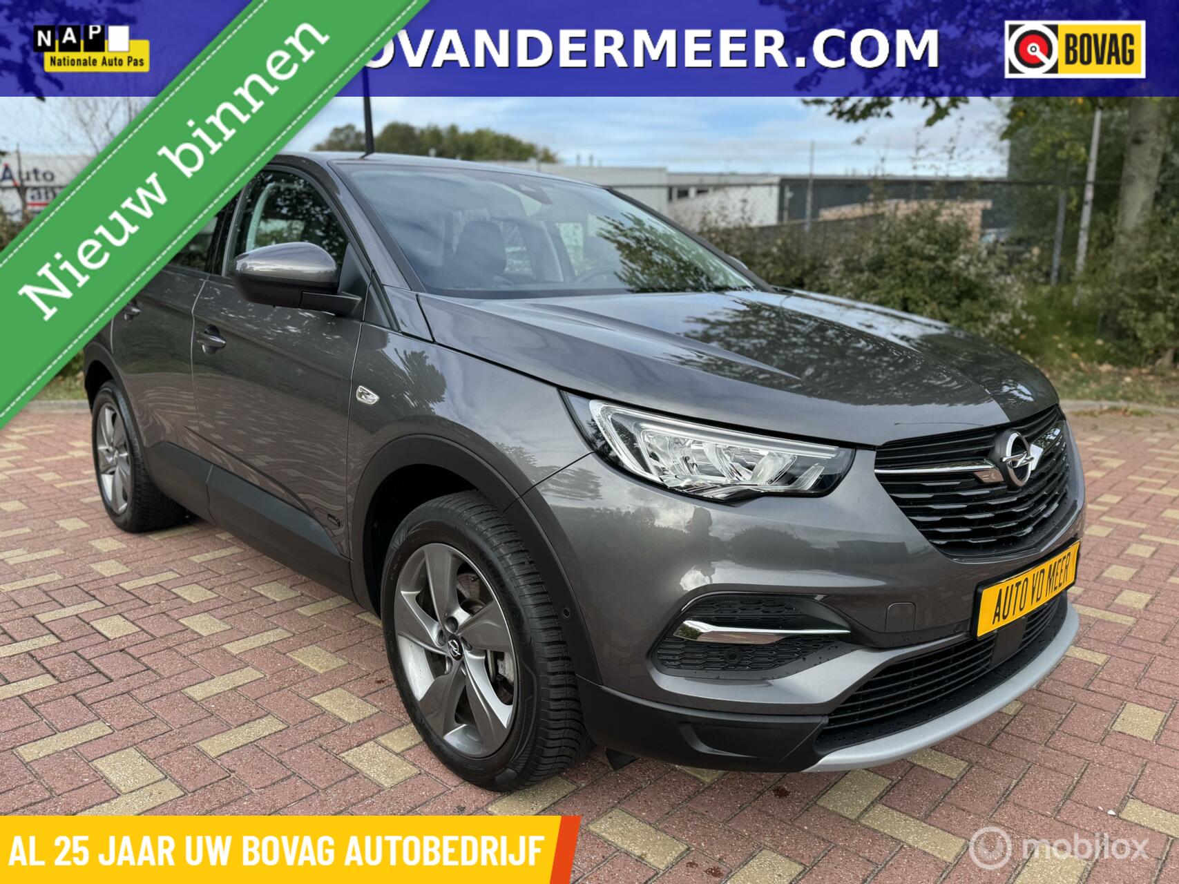 Foto van Opel Grandland X