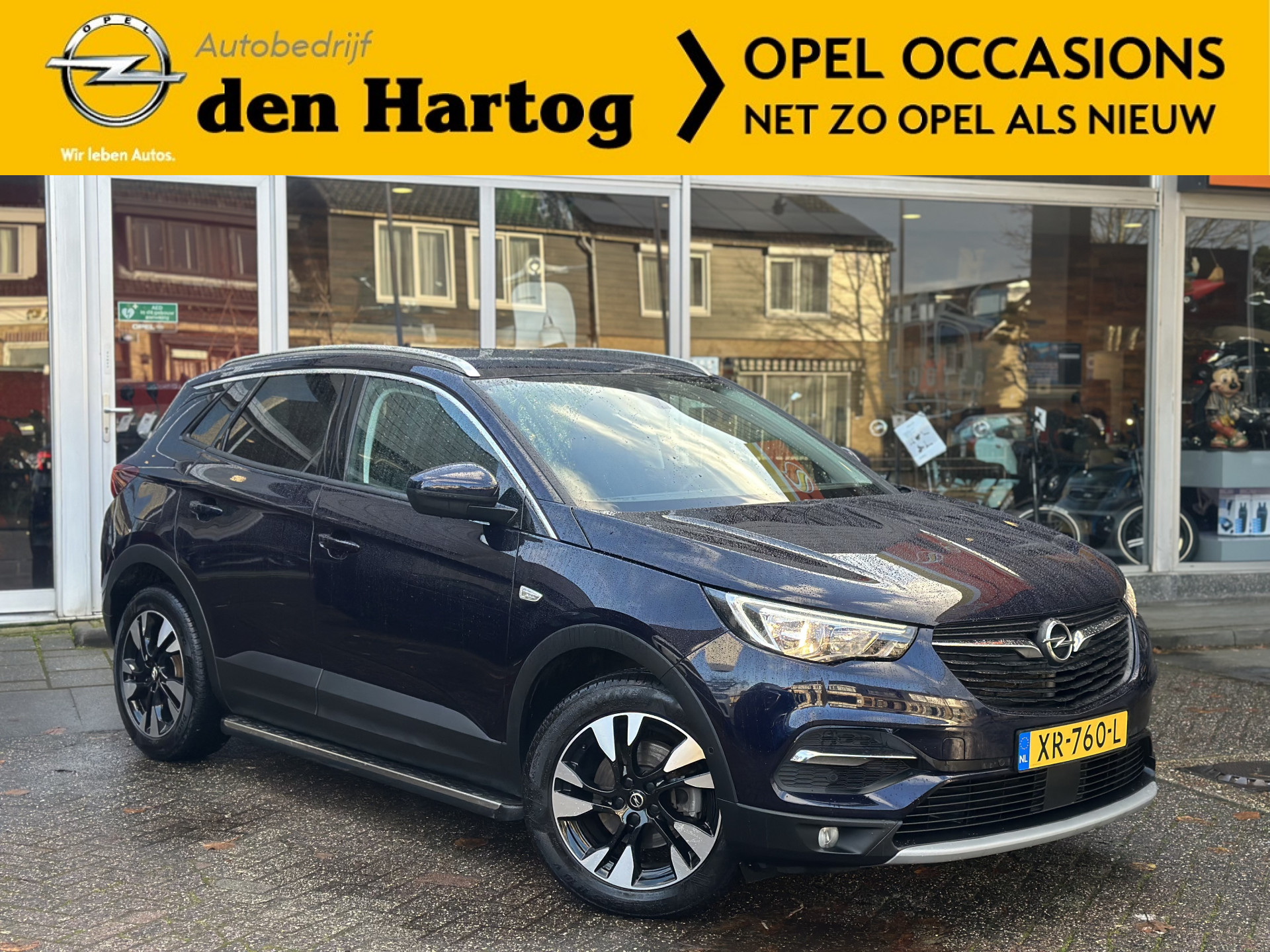 Foto van Opel Grandland X