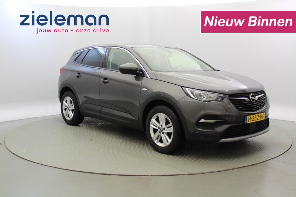 Foto van Opel Grandland X