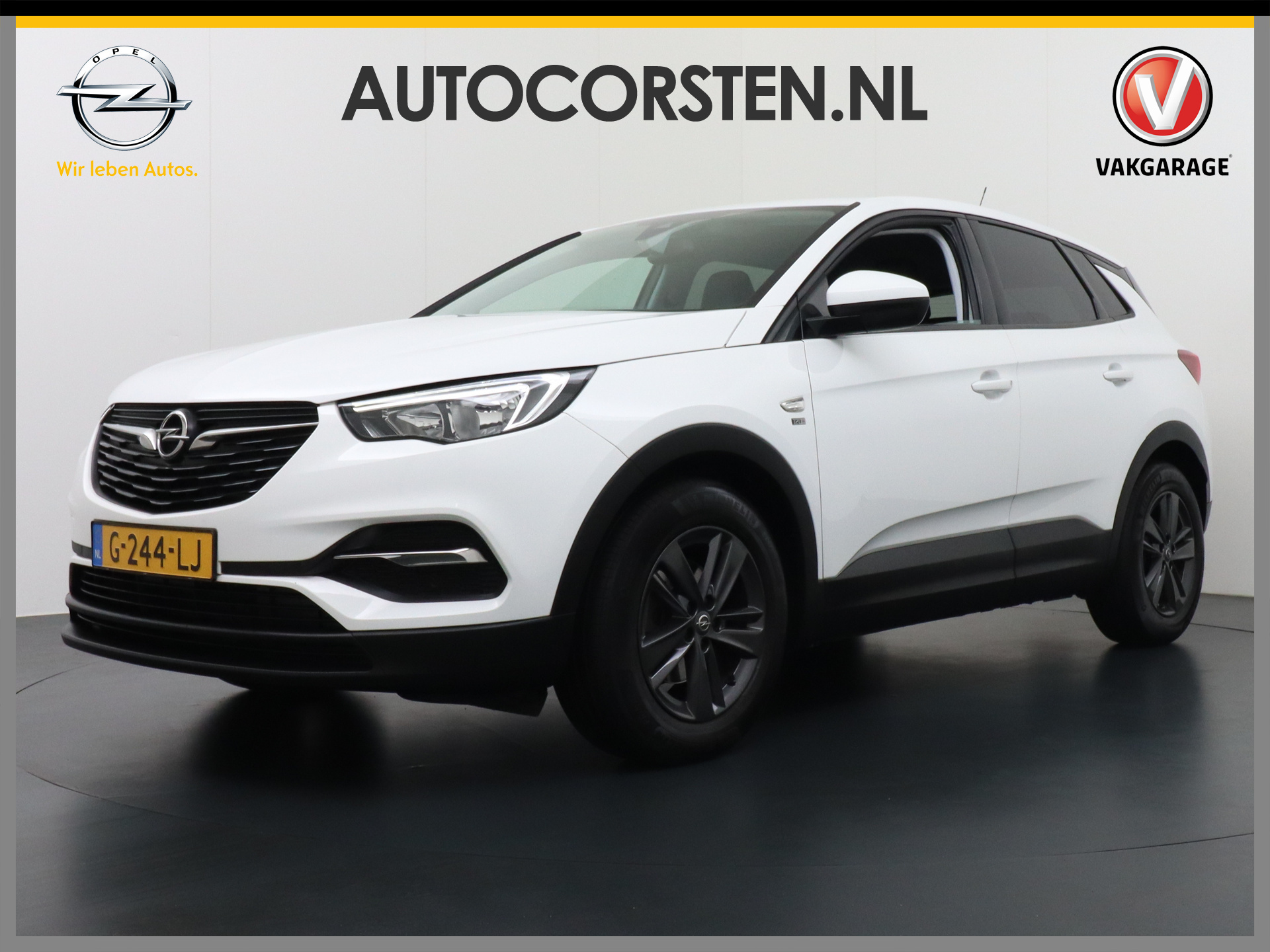 Foto van Opel Grandland X