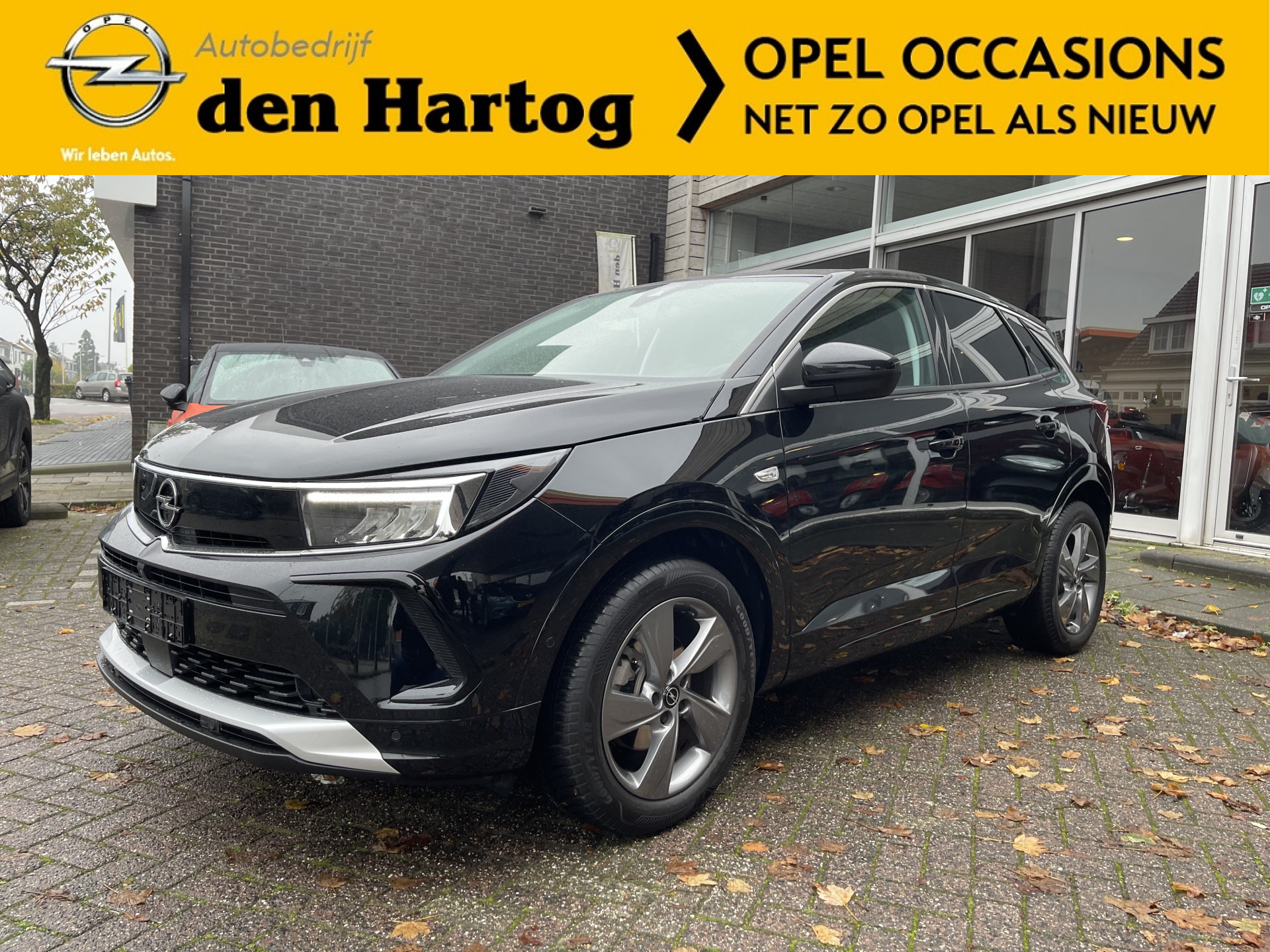 Foto van Opel Grandland
