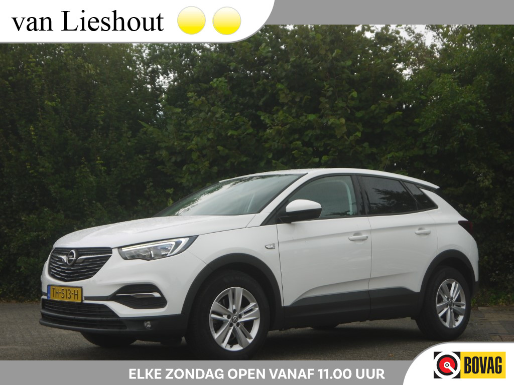 Foto van Opel Grandland X