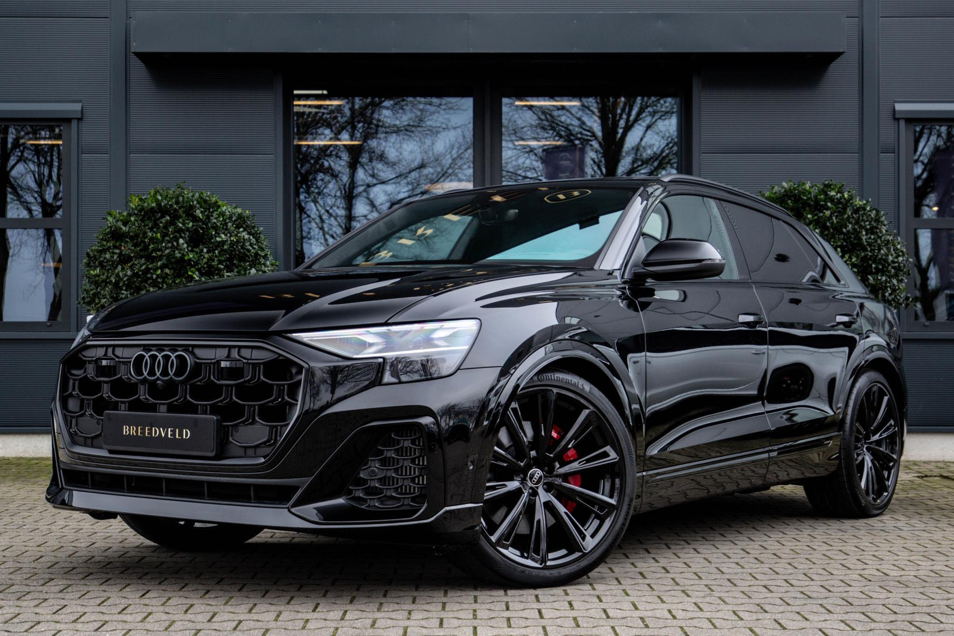 Foto van Audi SQ8